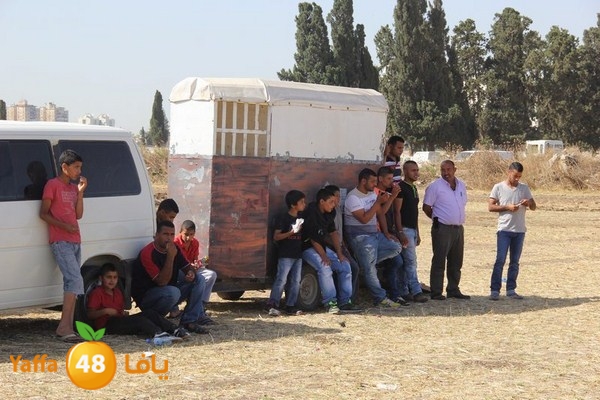 horse race 0602 (64).JPG